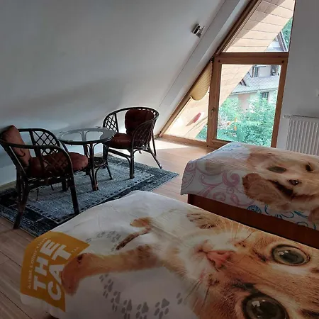 Apartamenty CEDE Zakopane-3
