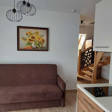 Apartamenty CEDE Zakopane-2